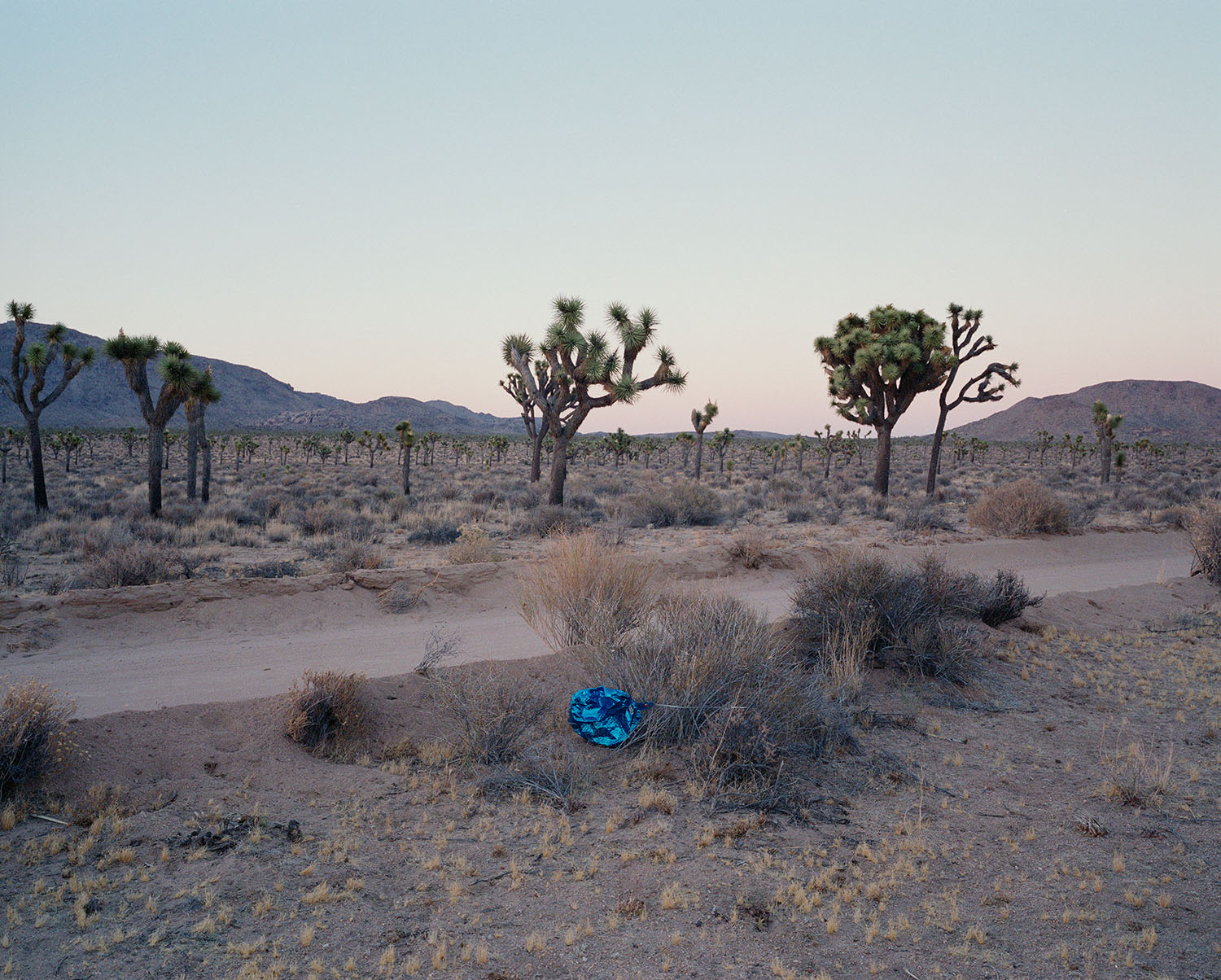 Balloon, Joshua Tree National Park, 2016