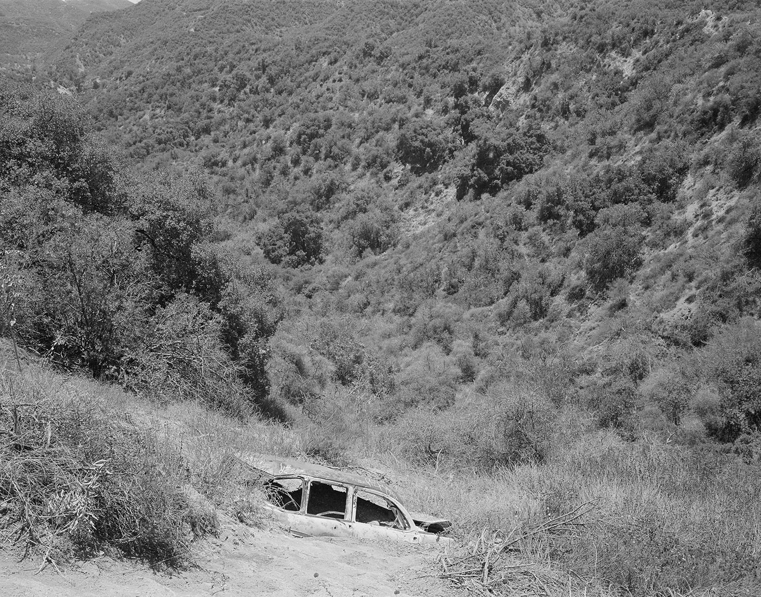 Abandoned Car, 2016