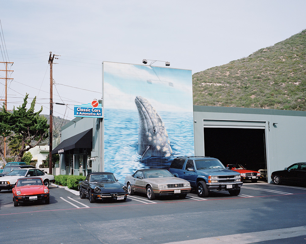 Laguna Beach, CA 2013